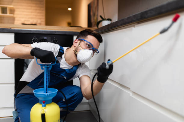 Best Flea Control Services  in Brices Creek, NC