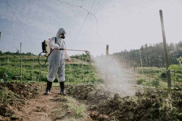 Professional Pest Control in Brices Creek, NC