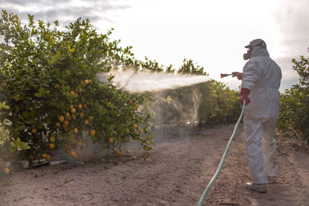 Best Best Pest Control Companies  in Brices Creek, NC